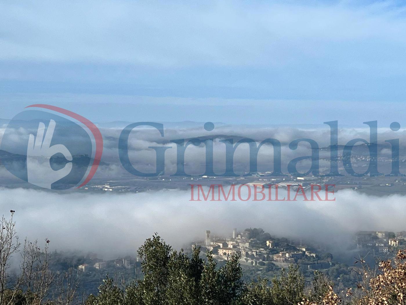 Foto annuncio 36