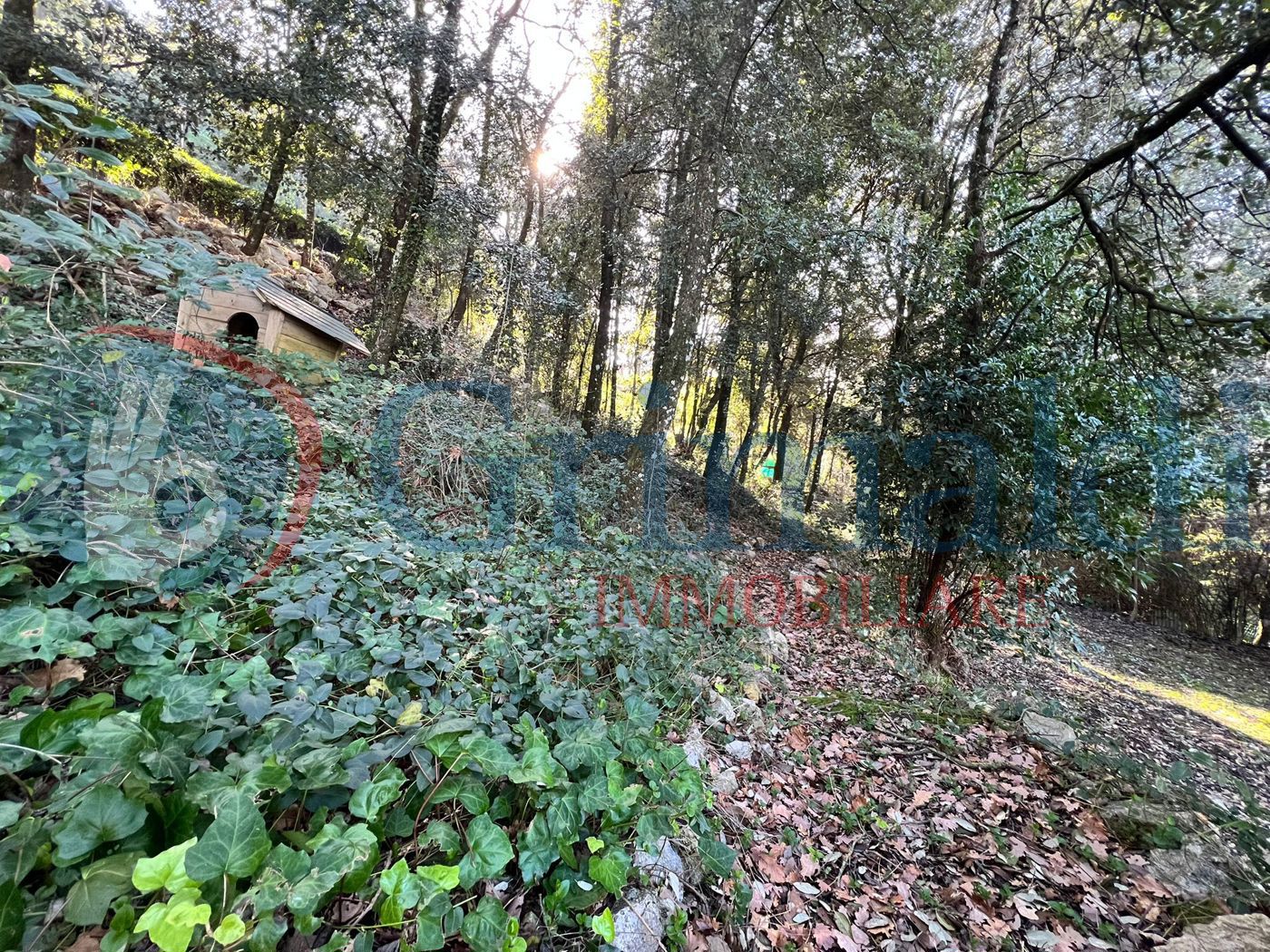 Foto annuncio 40