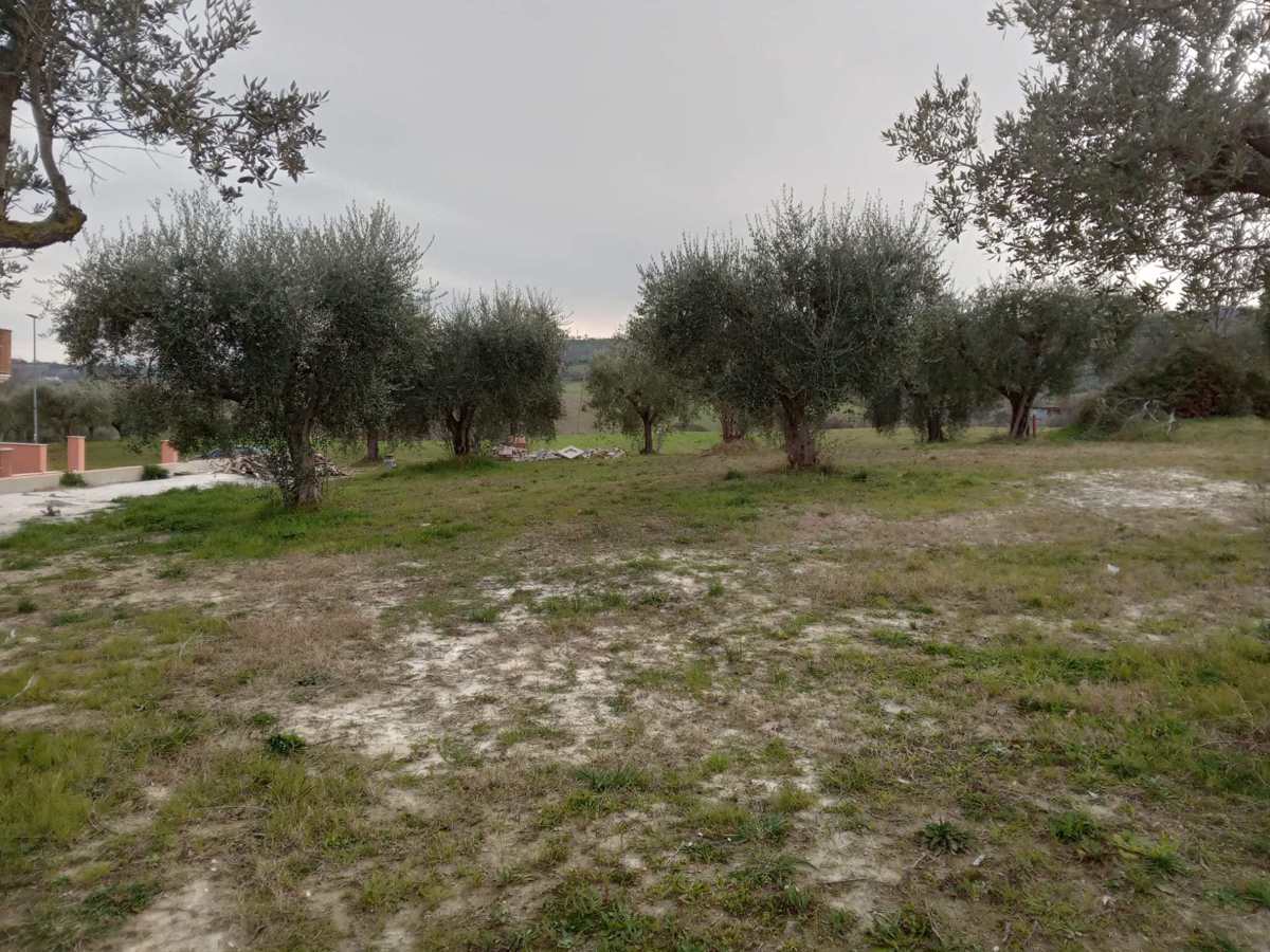 Foto annuncio 7