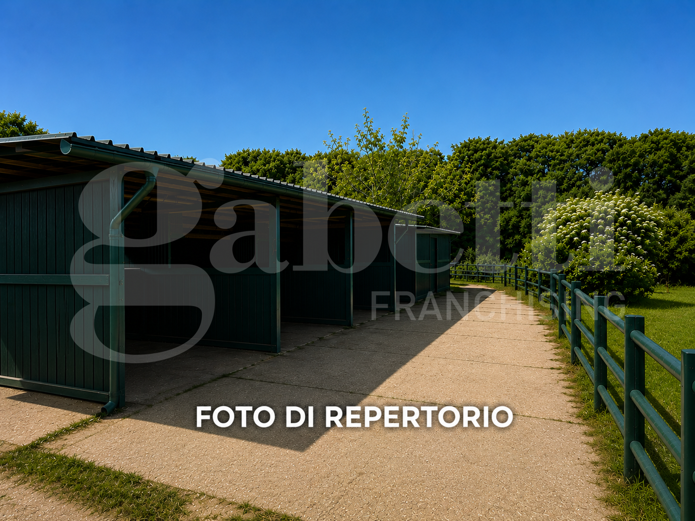 Foto annuncio 11