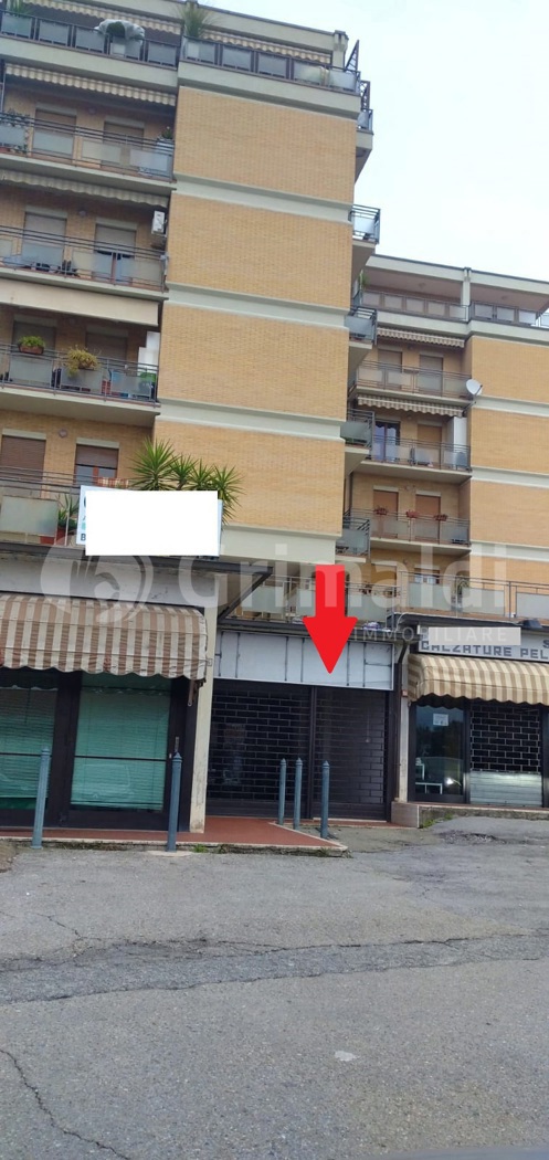 Foto annuncio 12