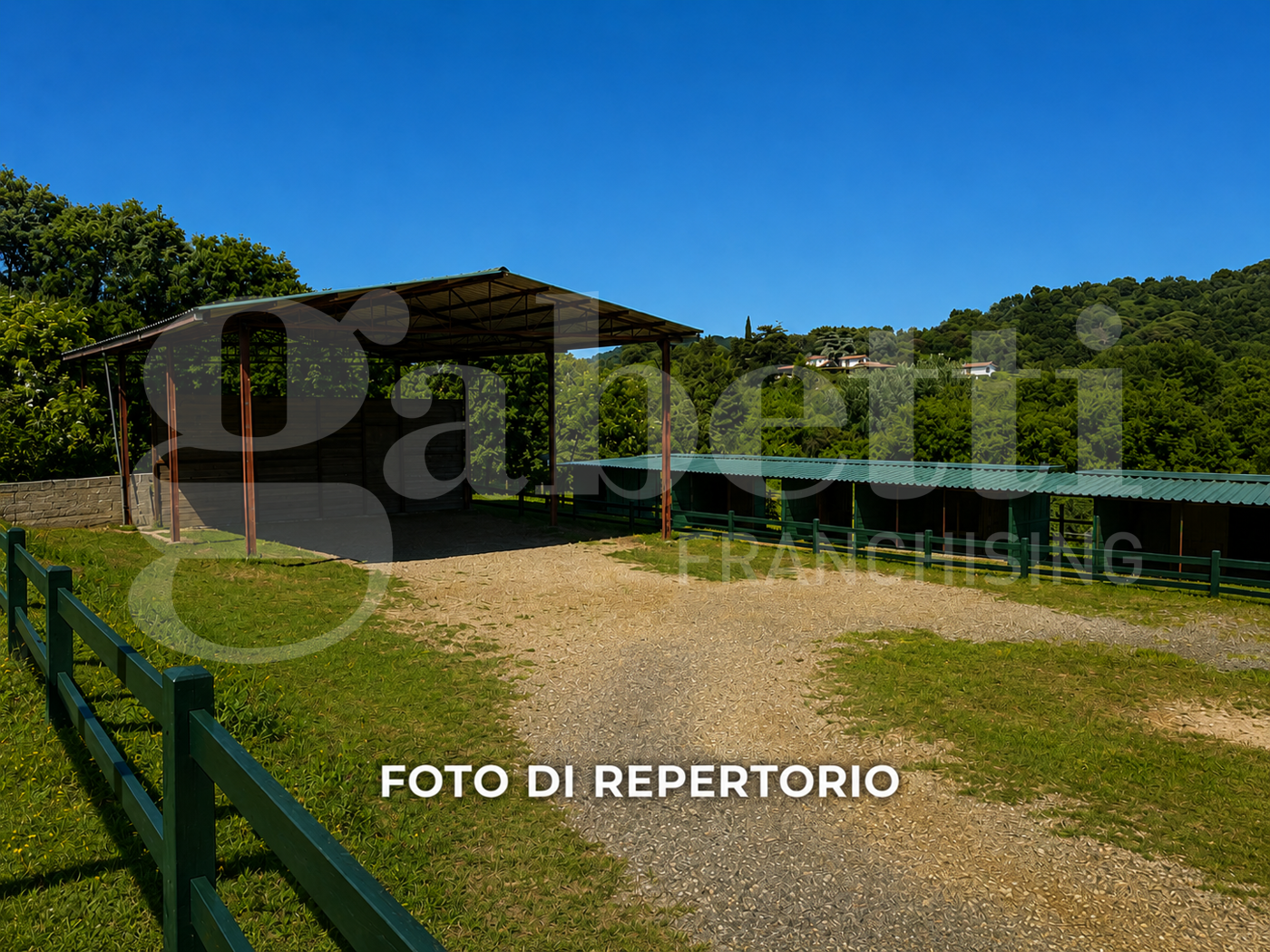 Foto annuncio 8