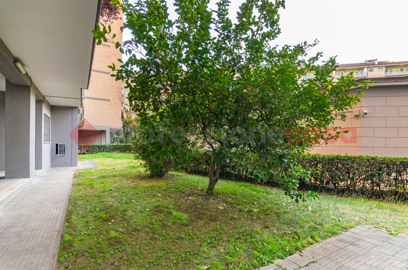 Foto annuncio 35
