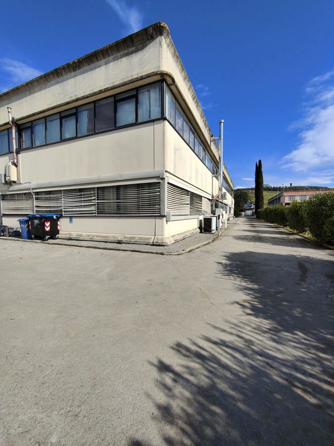 Foto annuncio 35