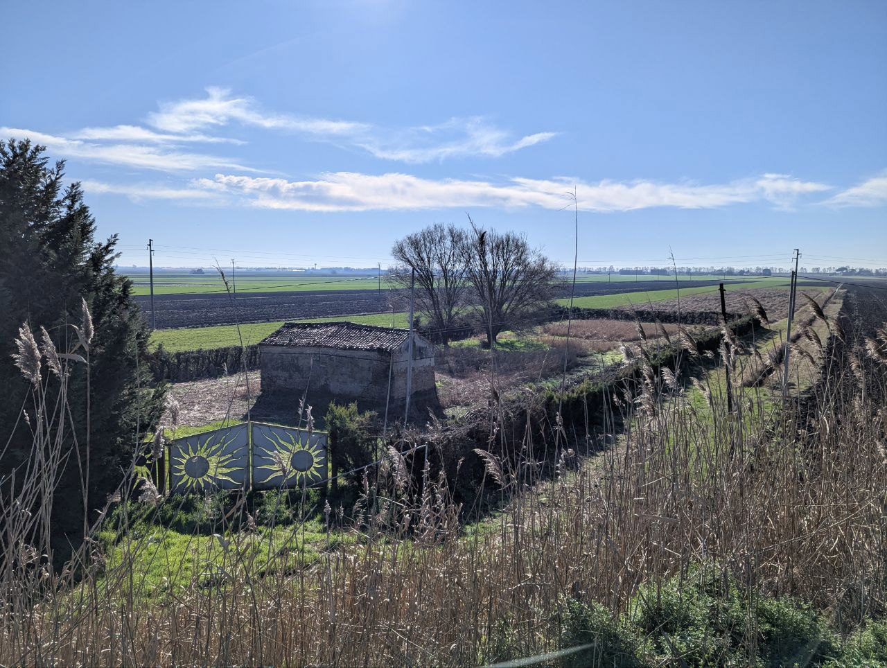 Foto annuncio 9