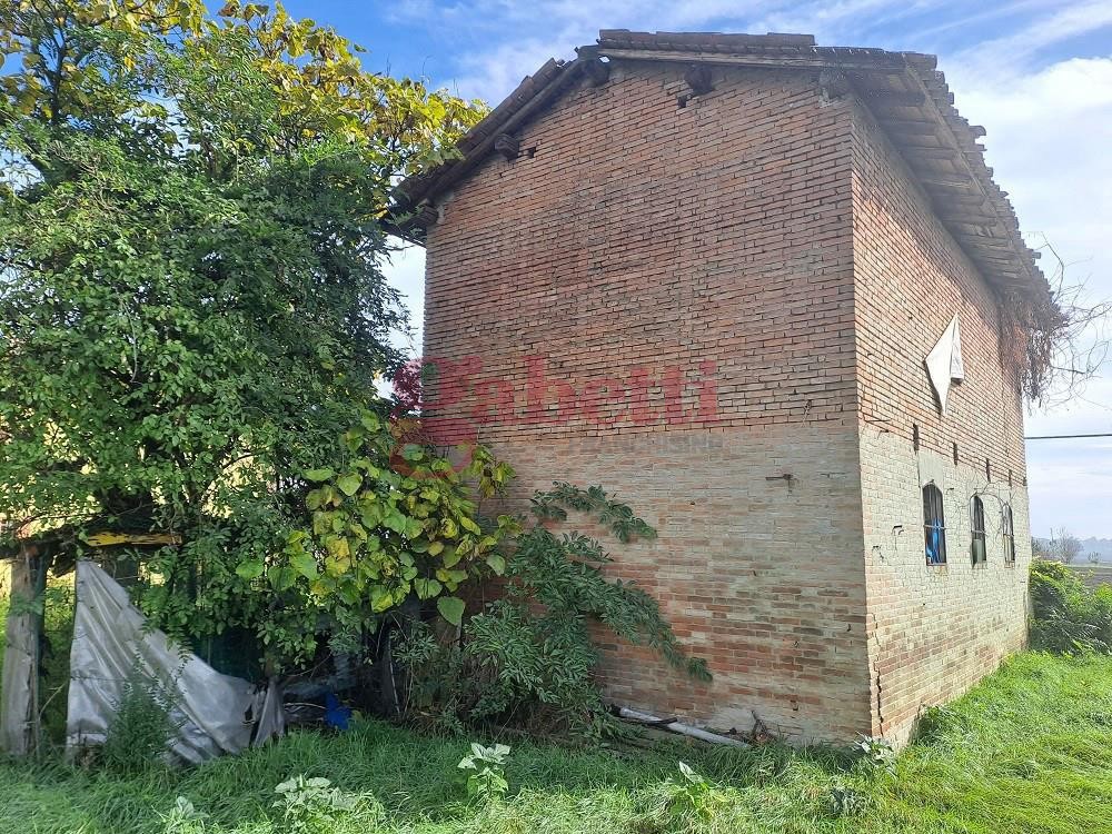 Foto annuncio 12