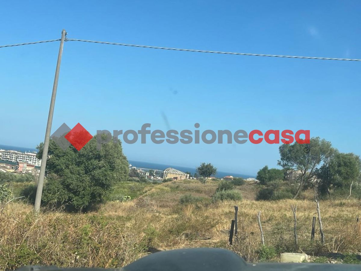 Foto annuncio 4