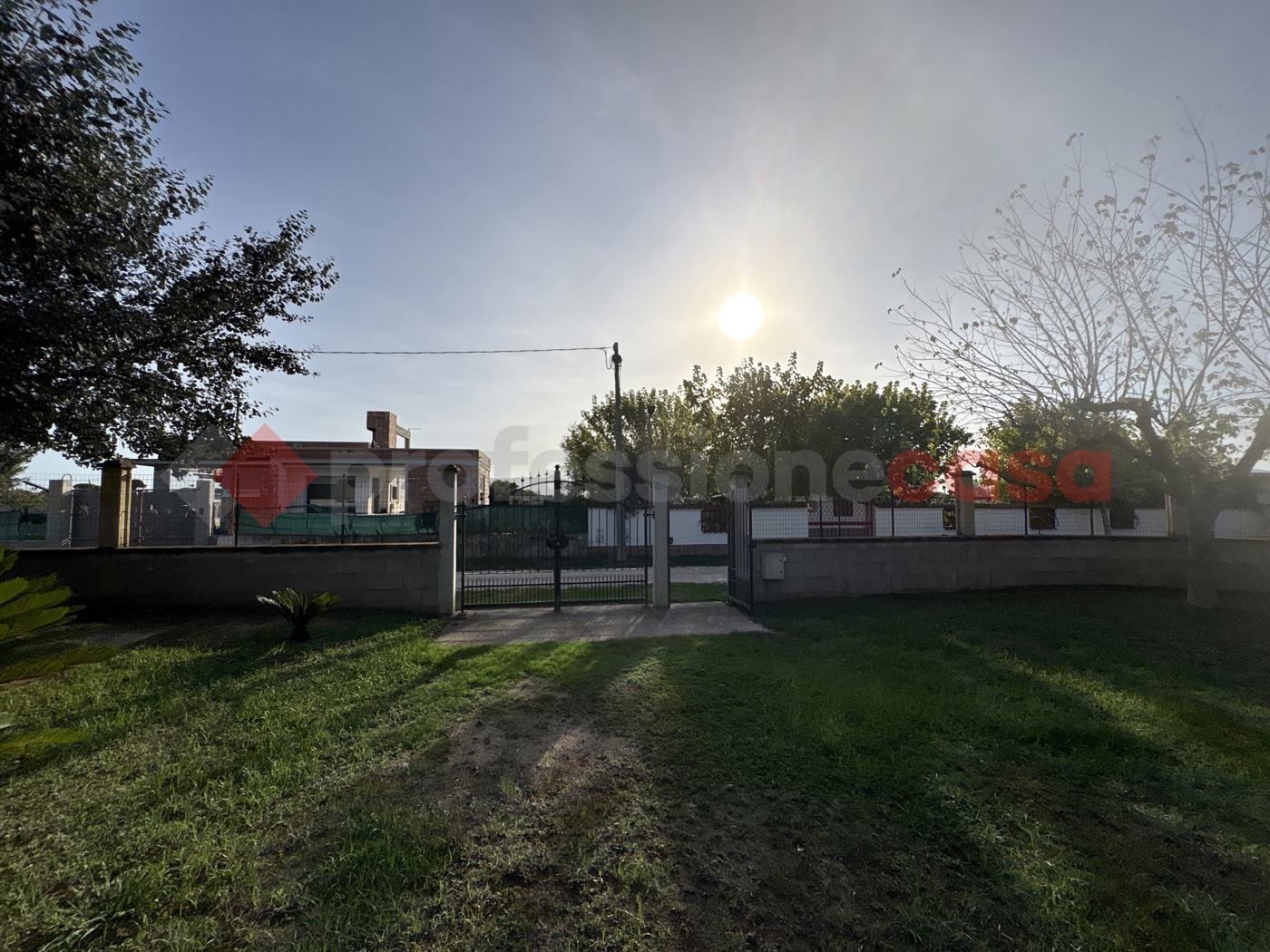 Foto annuncio 31