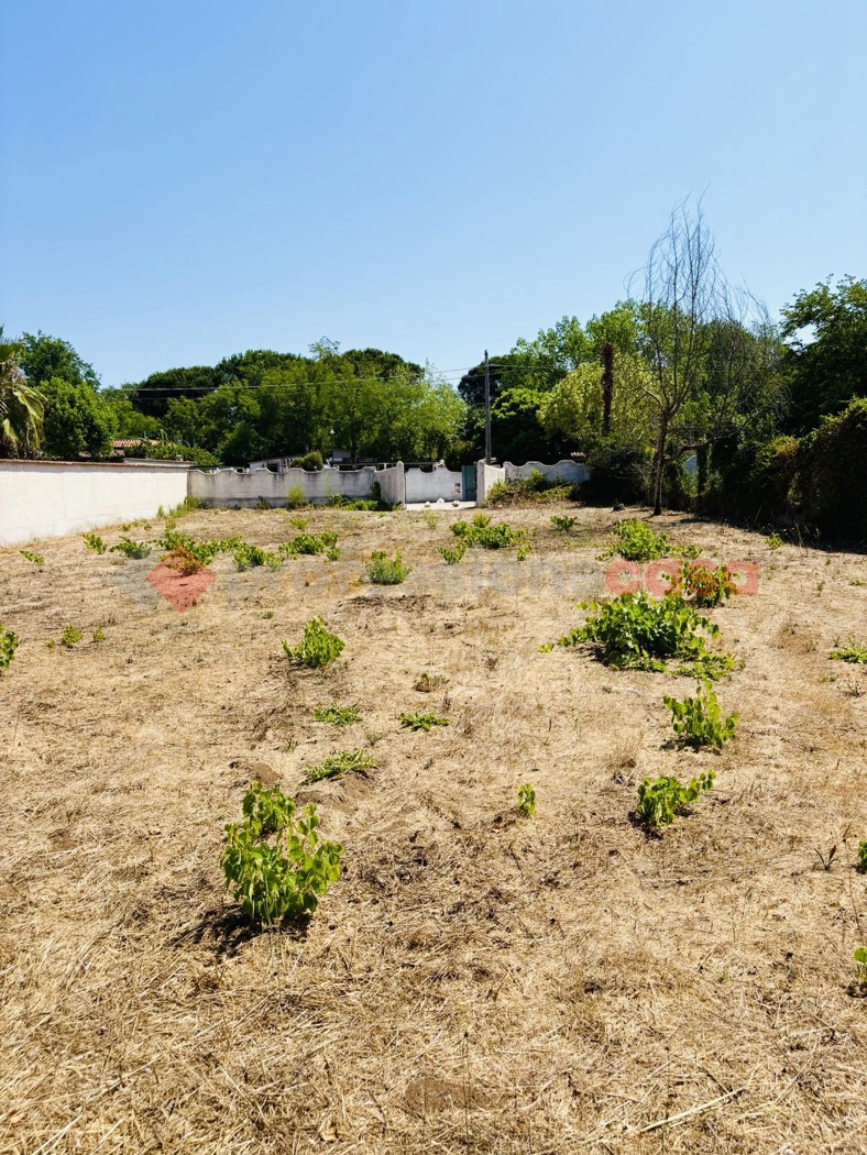 Foto annuncio 13