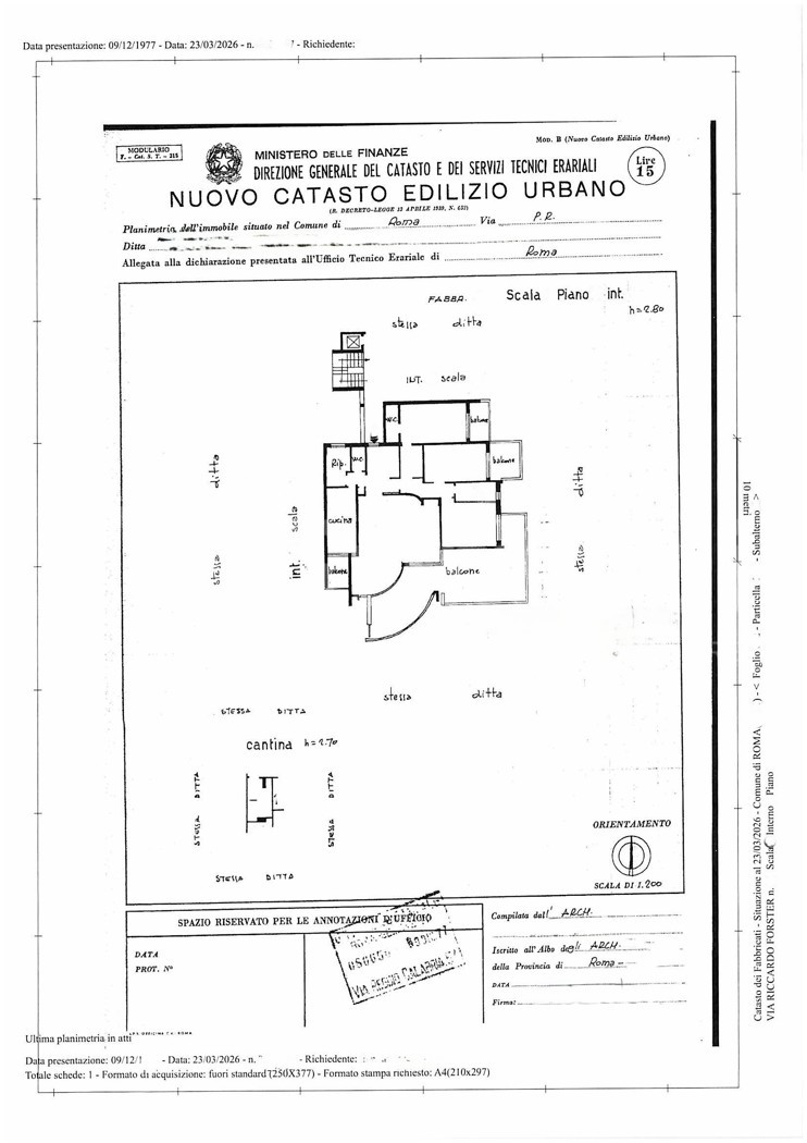 Foto annuncio 31