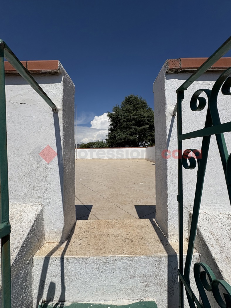 Foto annuncio 29