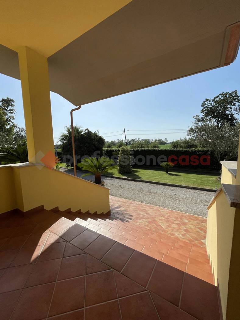 Foto annuncio 40
