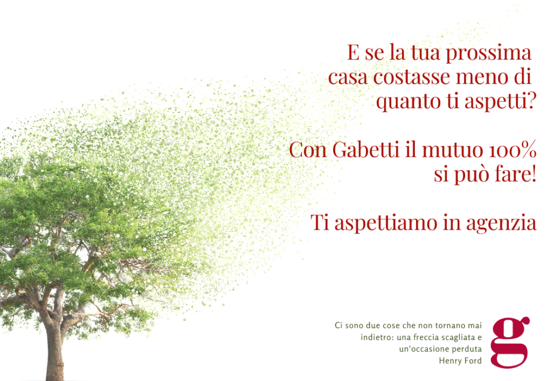 Foto annuncio 15