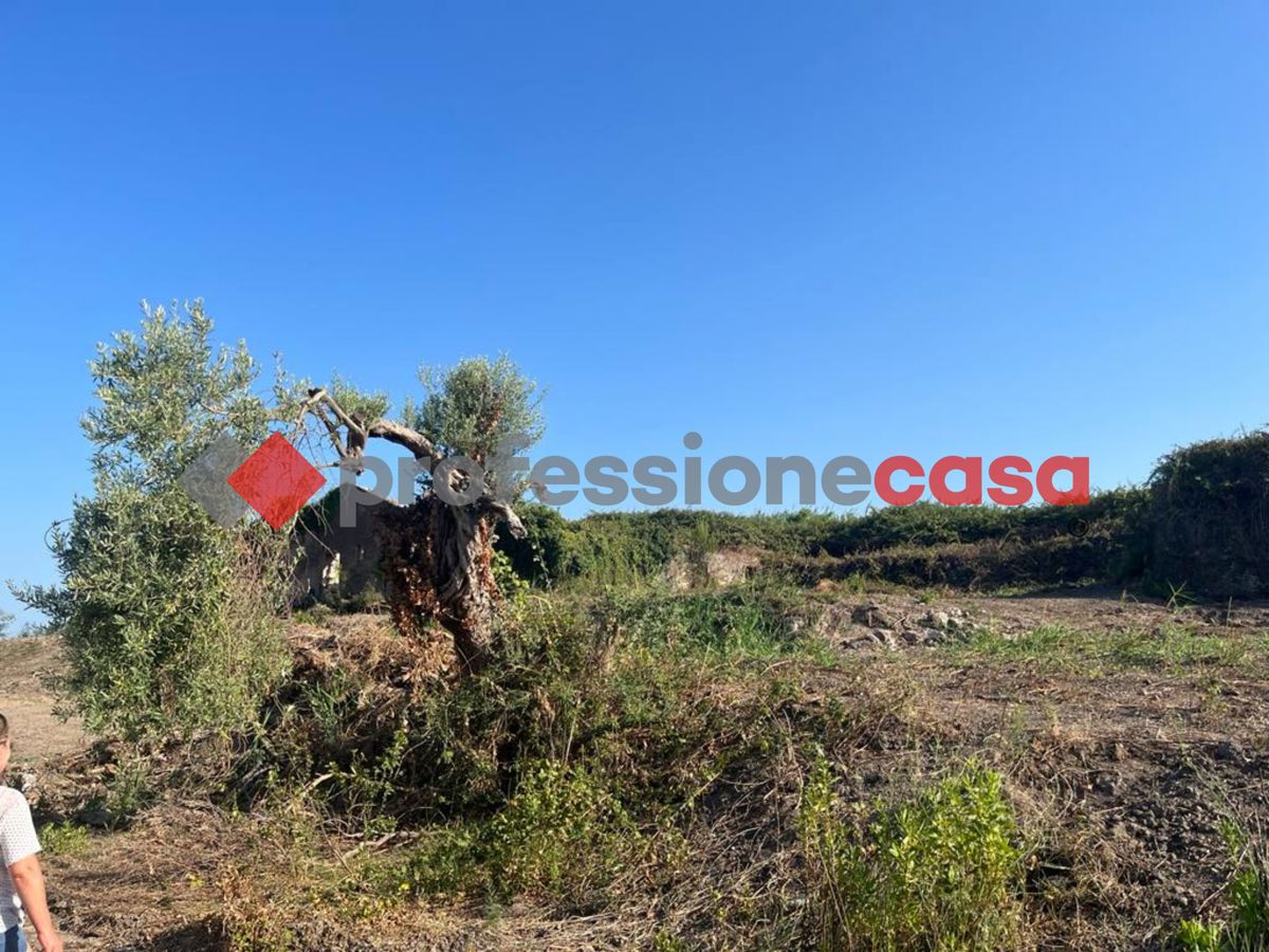 Foto annuncio 14