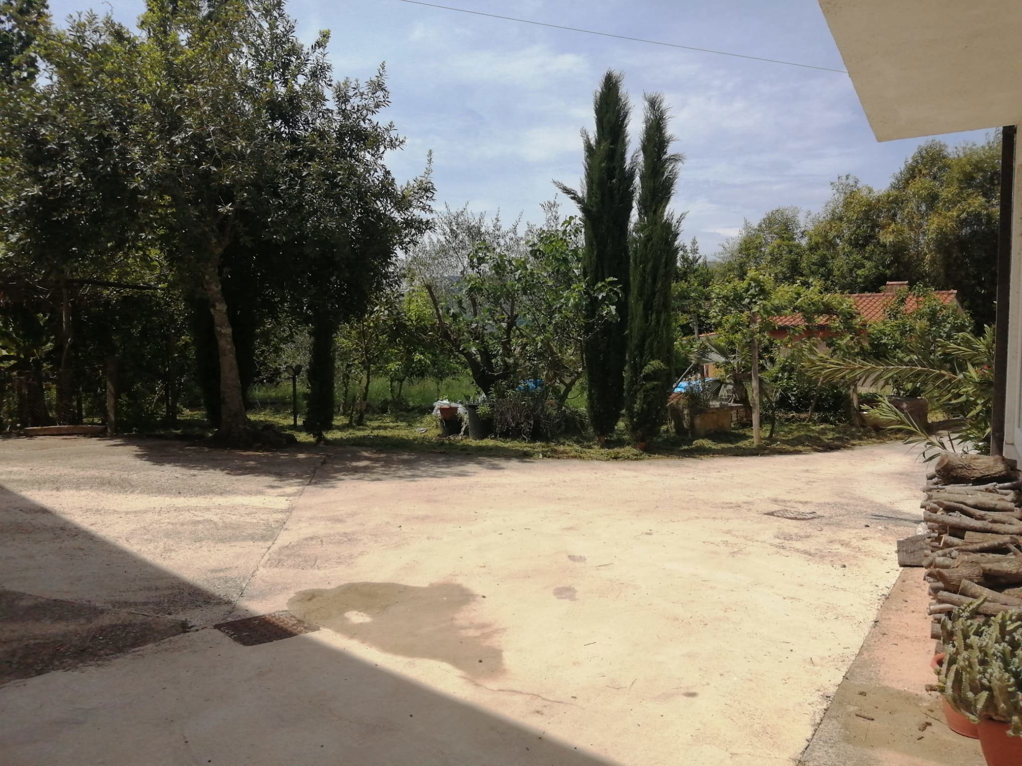 Foto annuncio 9