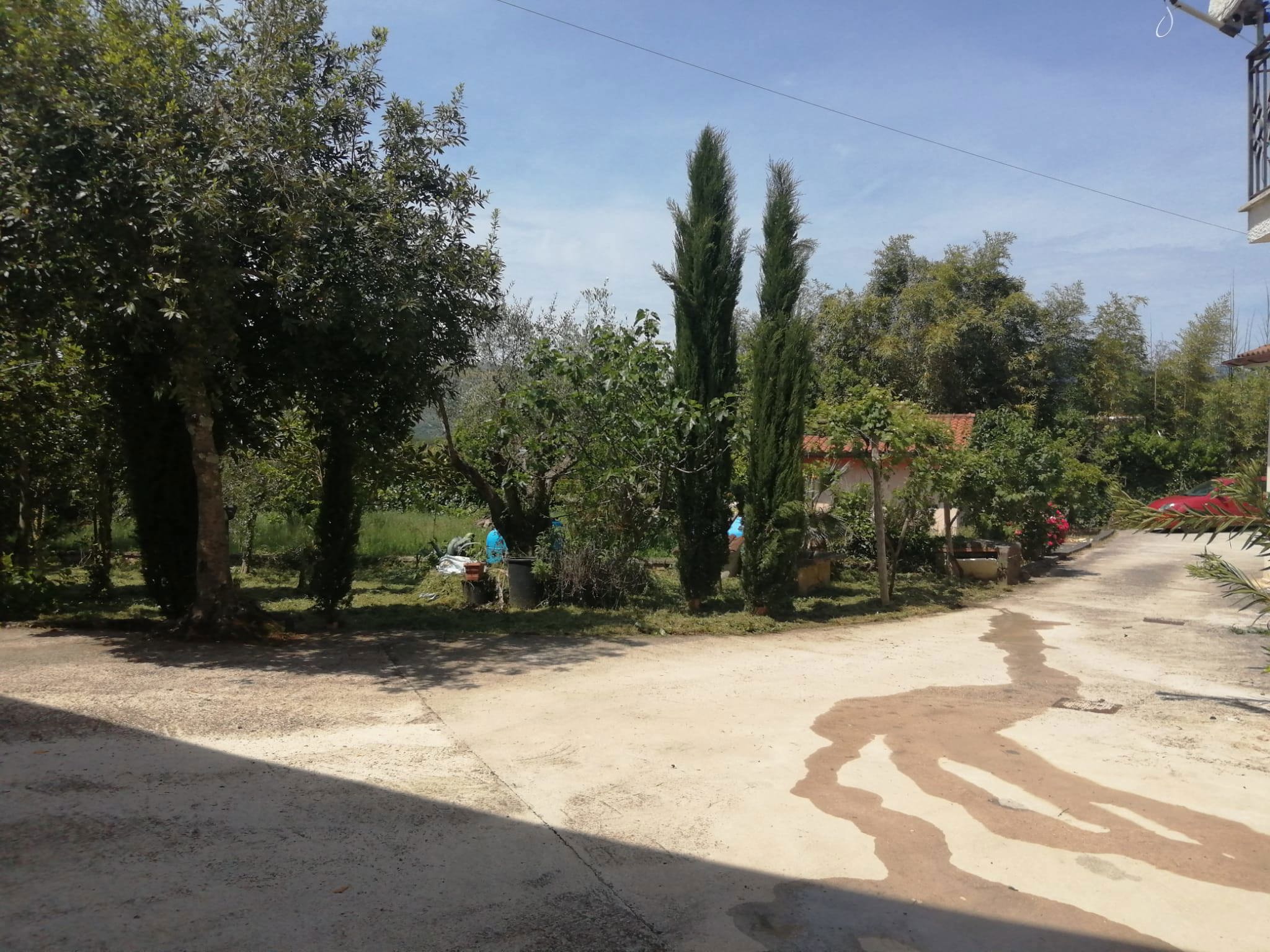 Foto annuncio 2