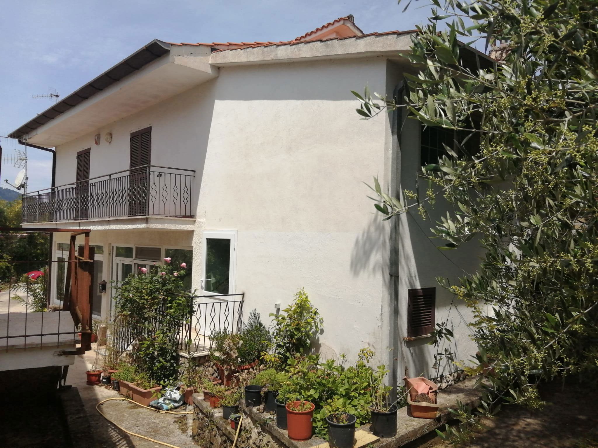 Foto annuncio 8