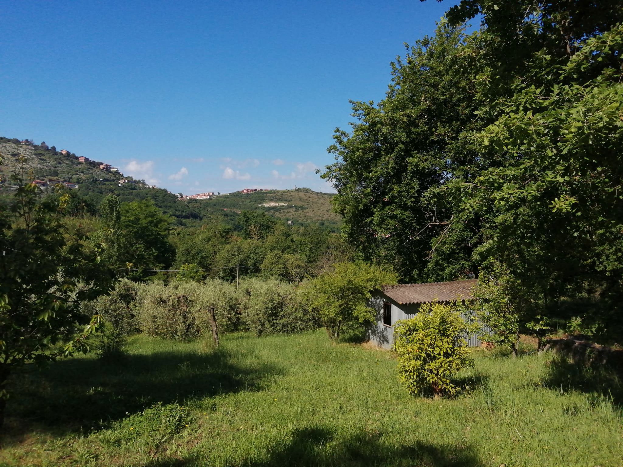 Foto annuncio 4