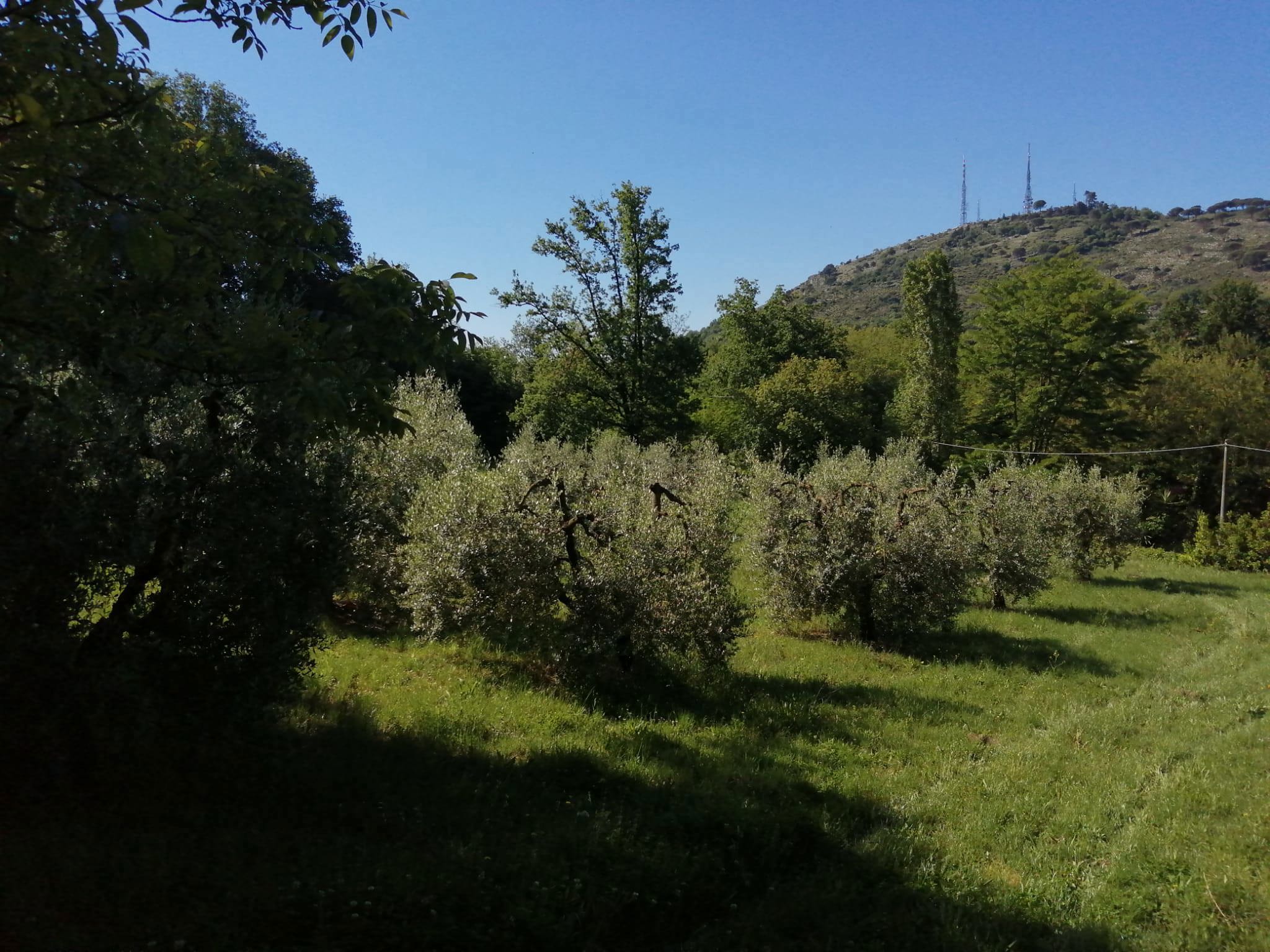 Foto annuncio 8
