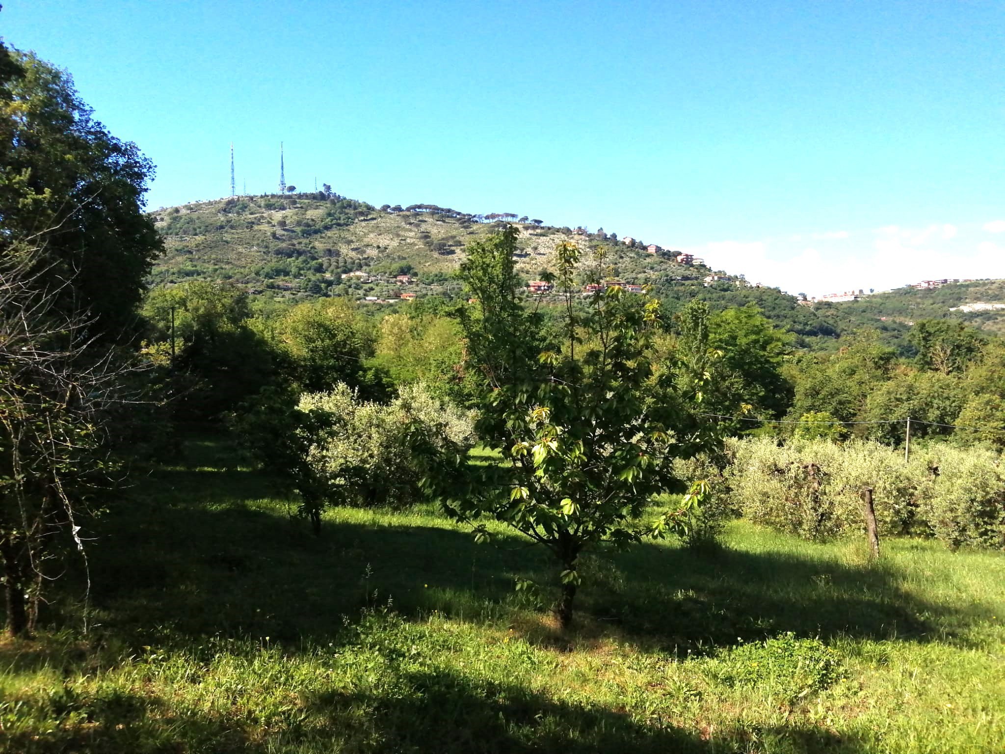 Foto annuncio 3