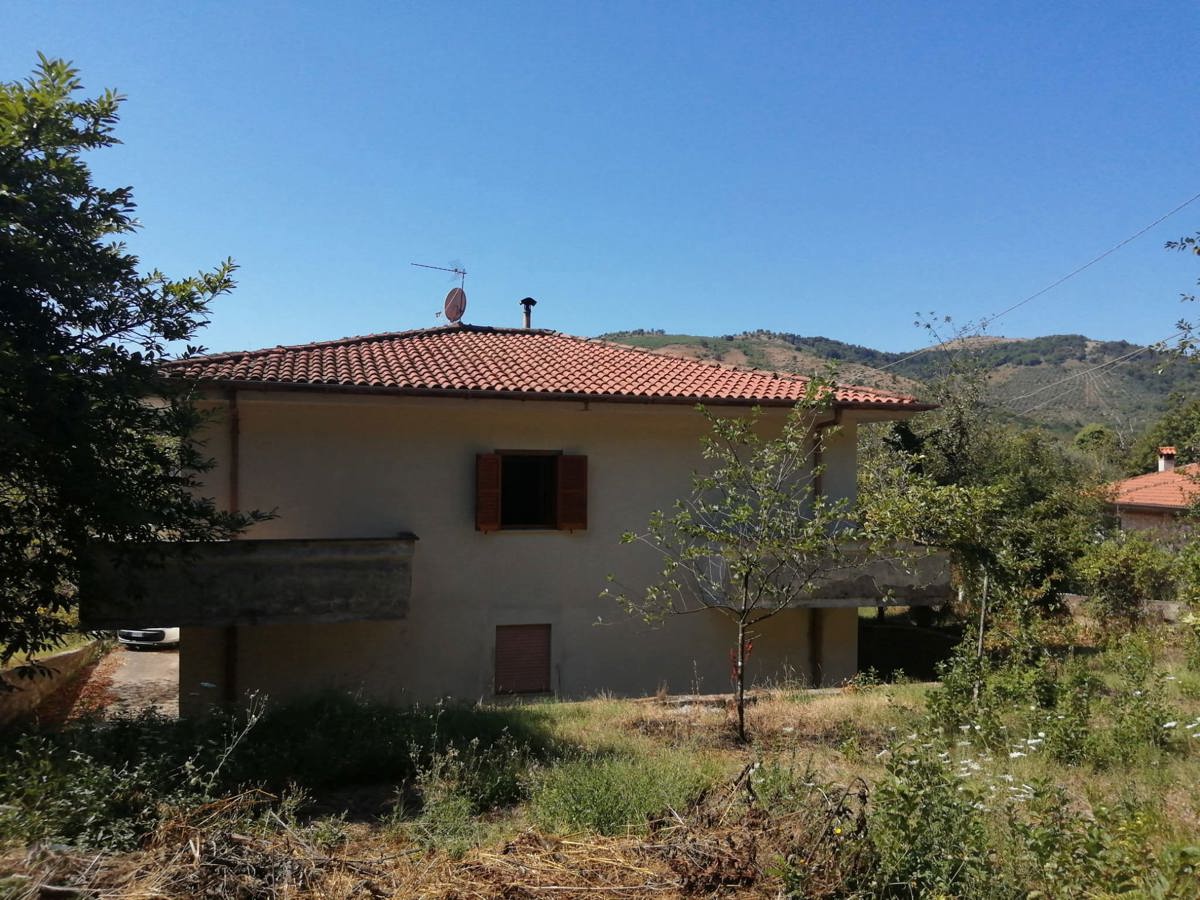 Foto annuncio 5