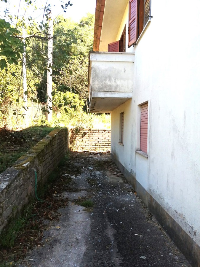 Foto annuncio 2