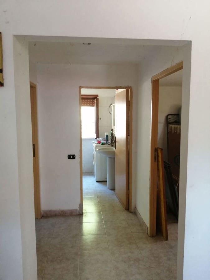 Foto annuncio 19