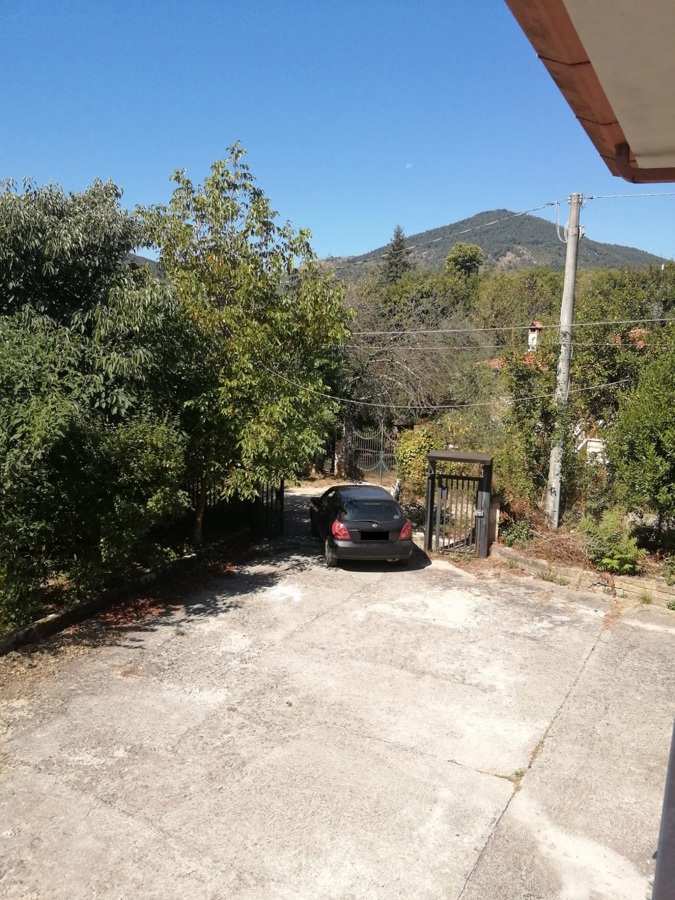 Foto annuncio 7