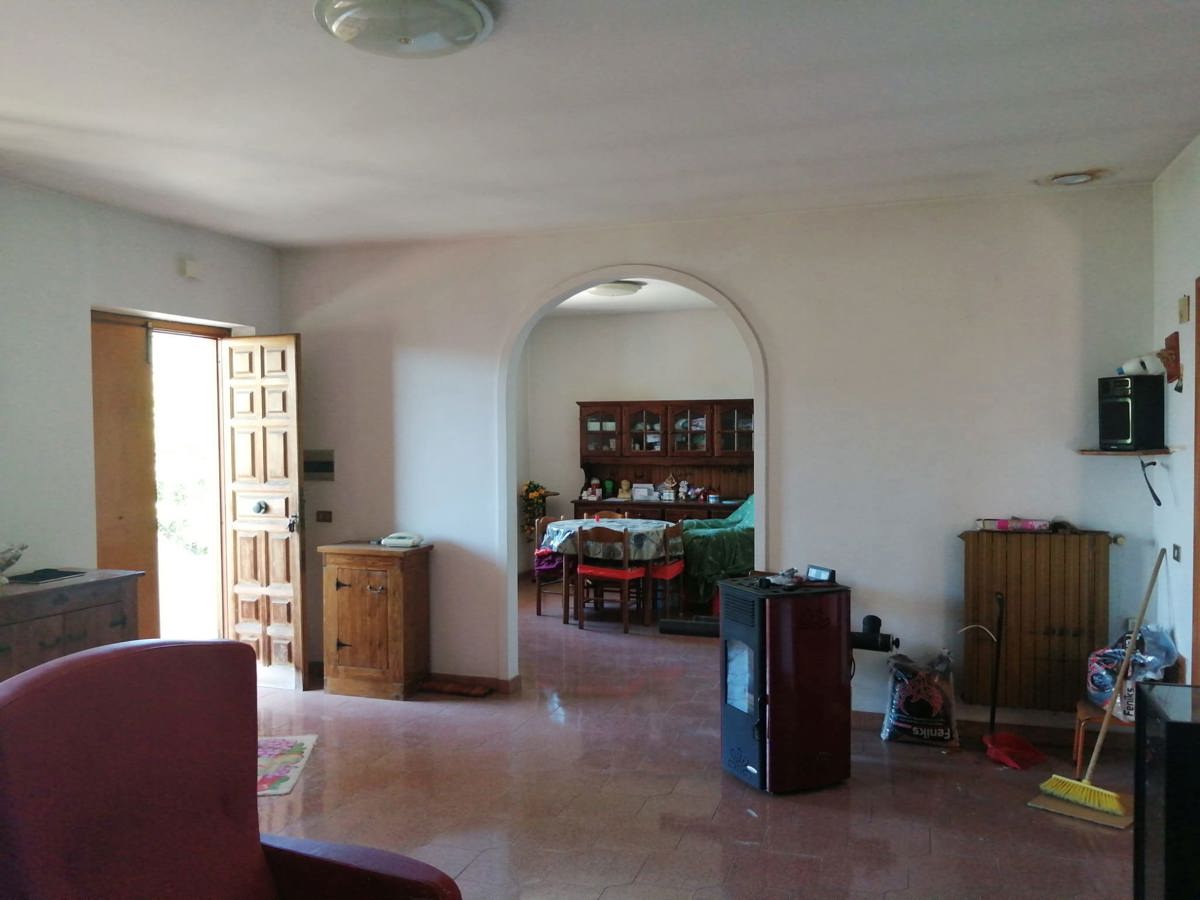 Foto annuncio 12