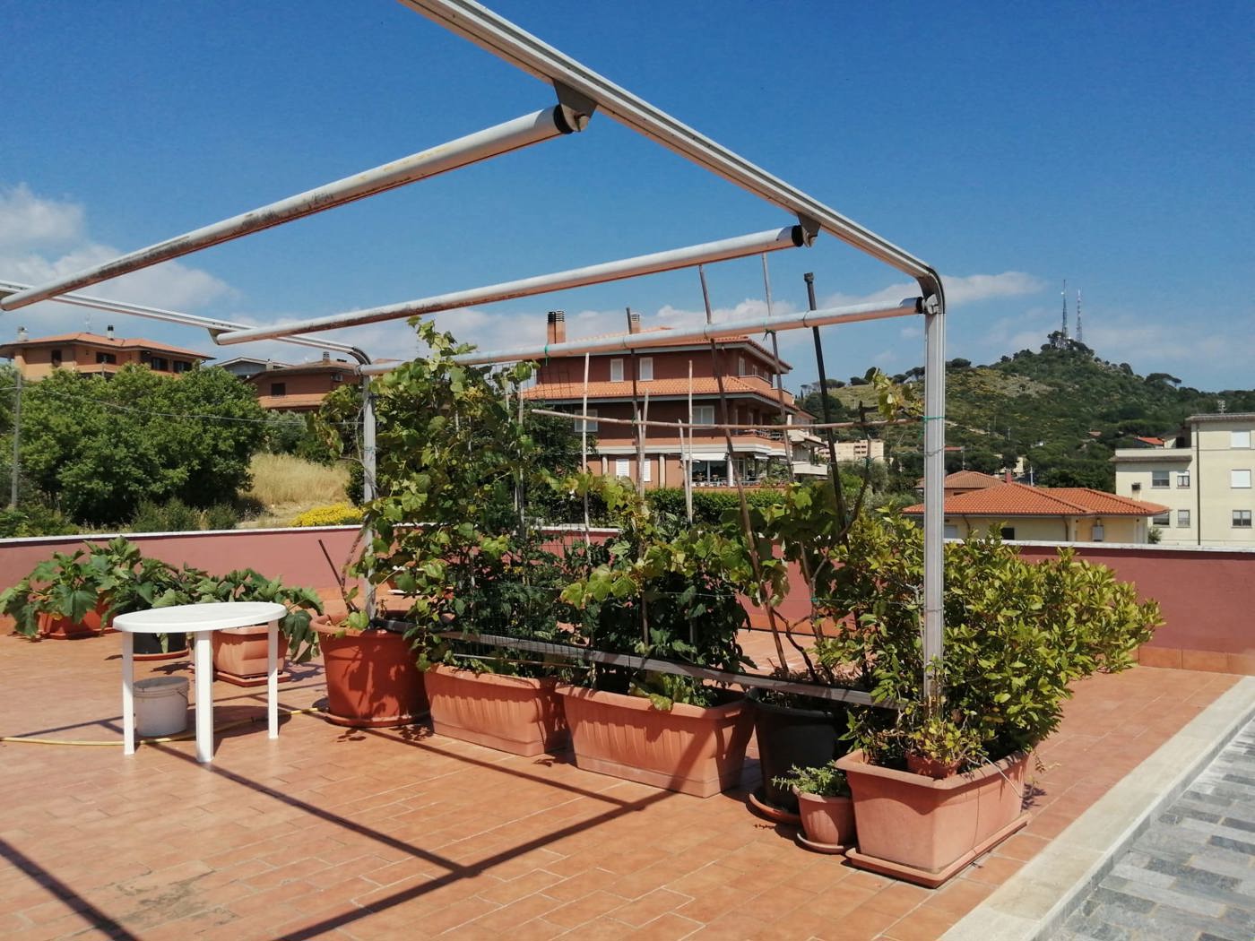 Foto annuncio 3