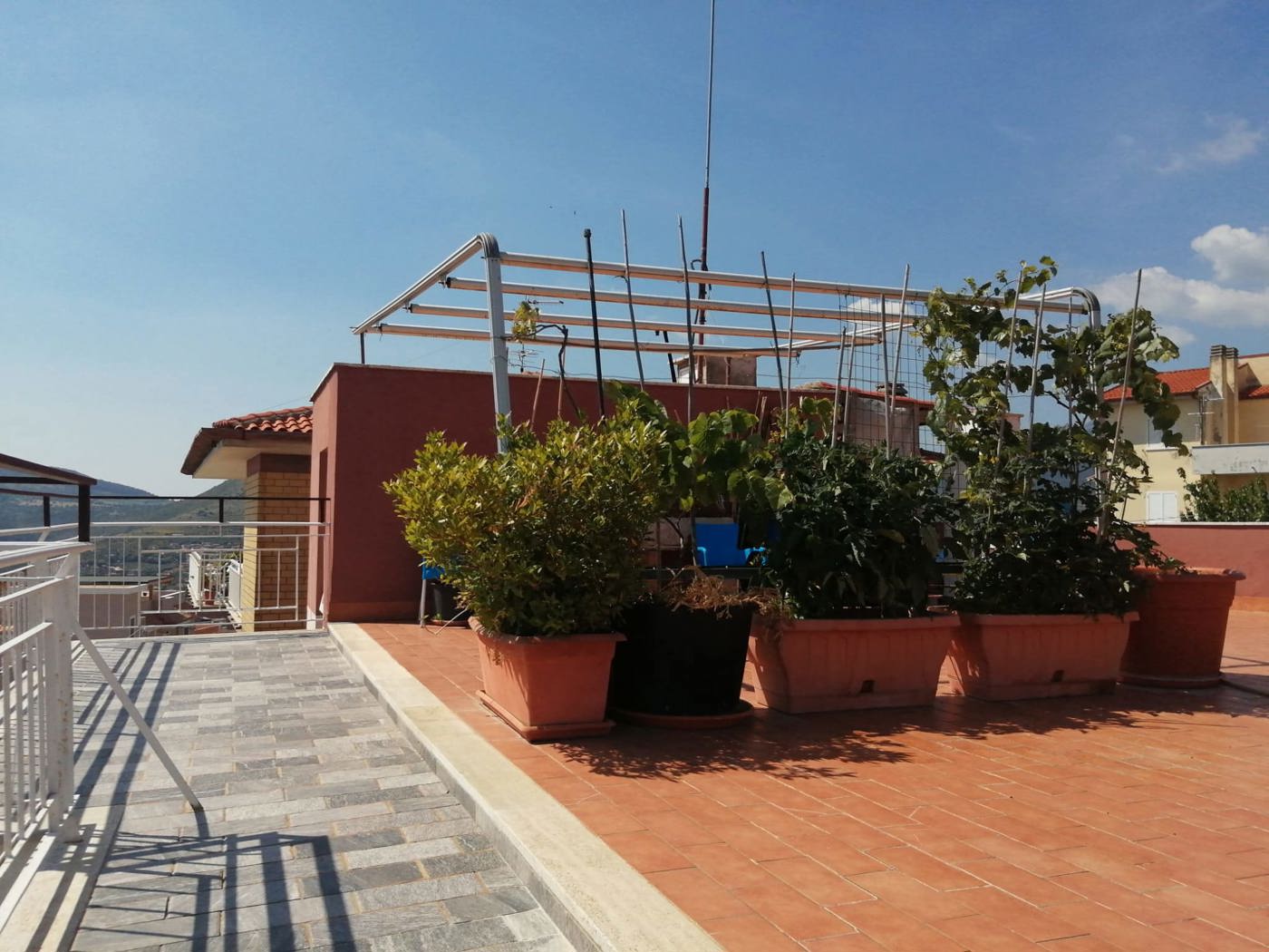 Foto annuncio 8
