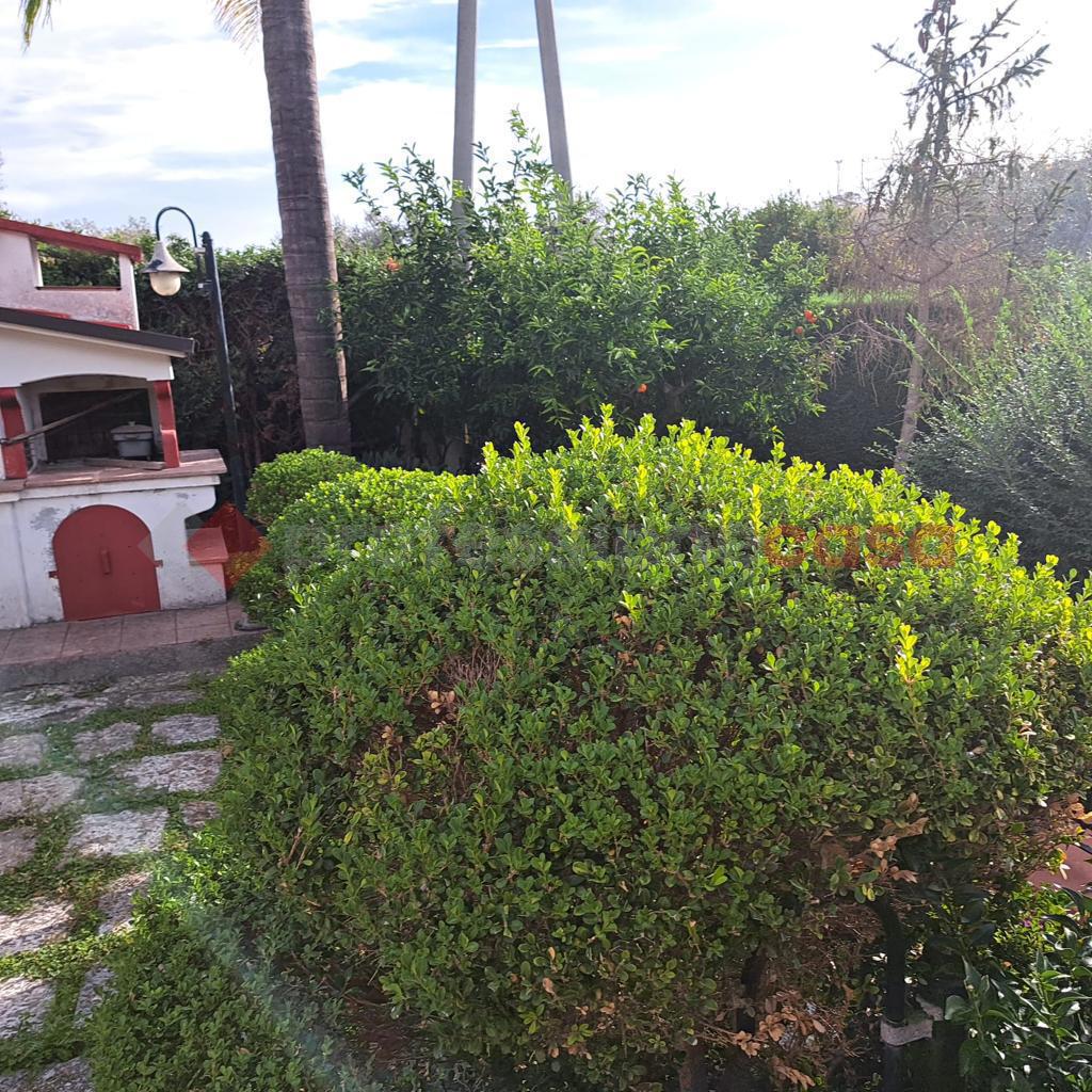 Foto annuncio 27