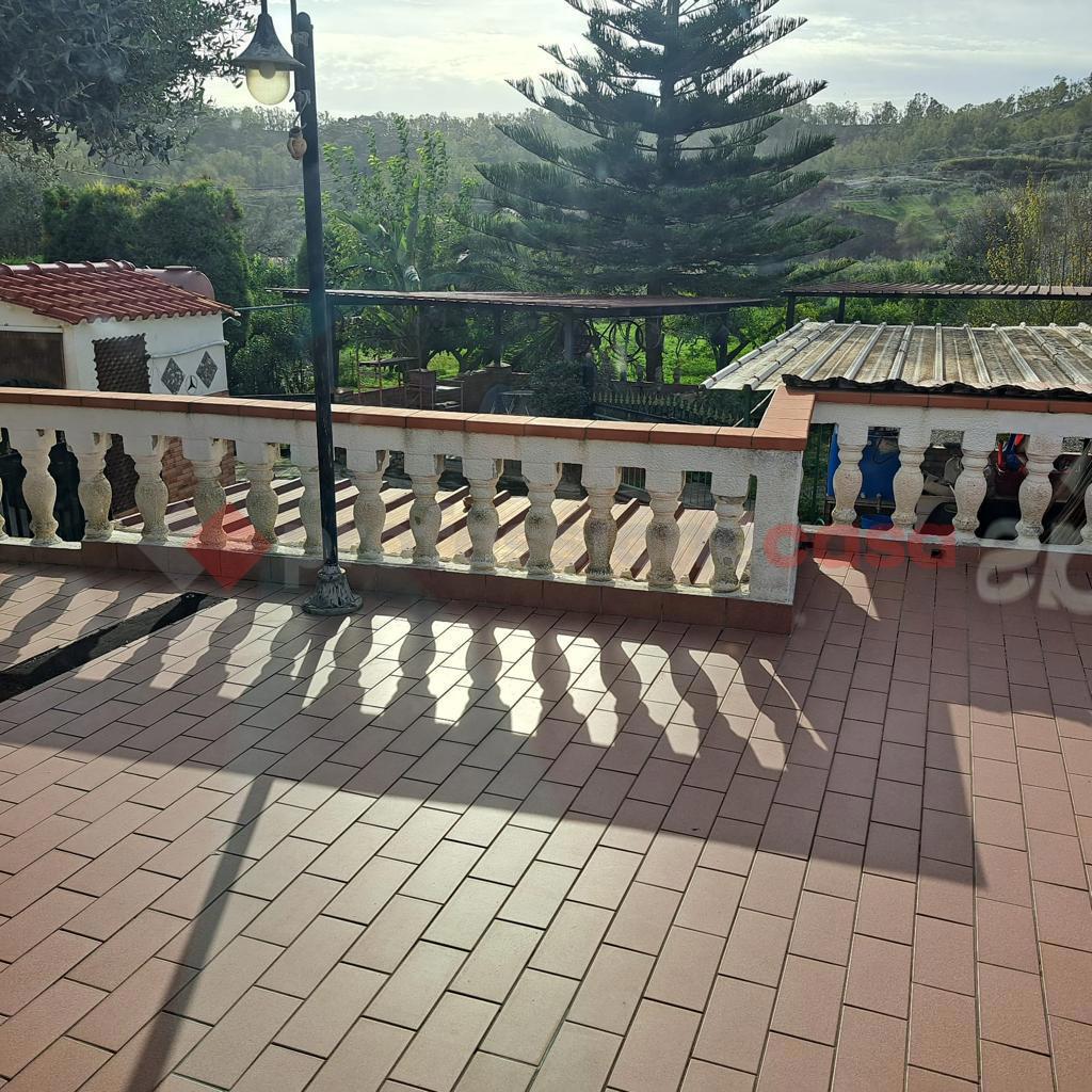 Foto annuncio 7