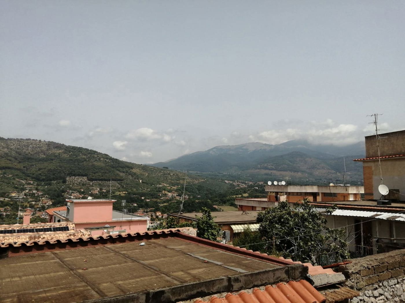 Foto annuncio 10