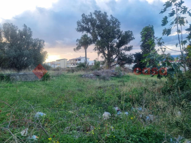 Foto annuncio 8