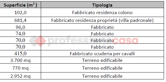 Foto annuncio 9