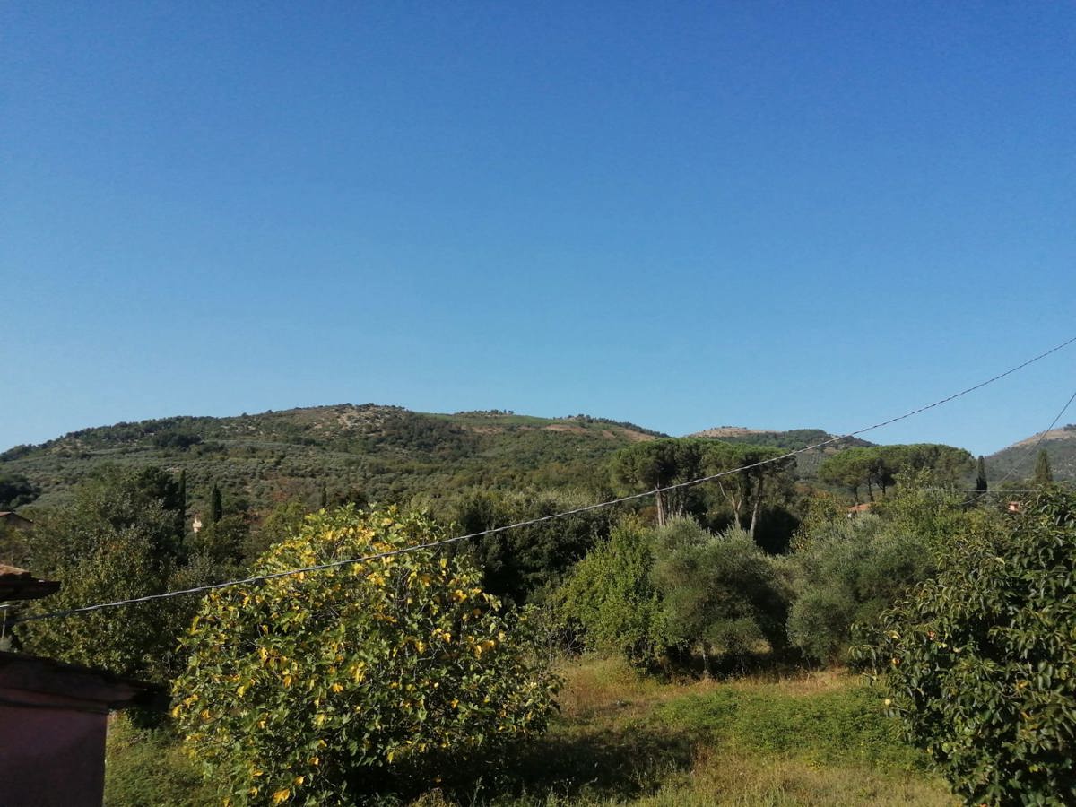 Foto annuncio 12