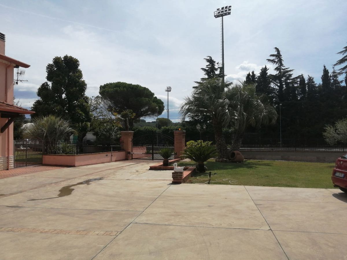 Foto annuncio 7