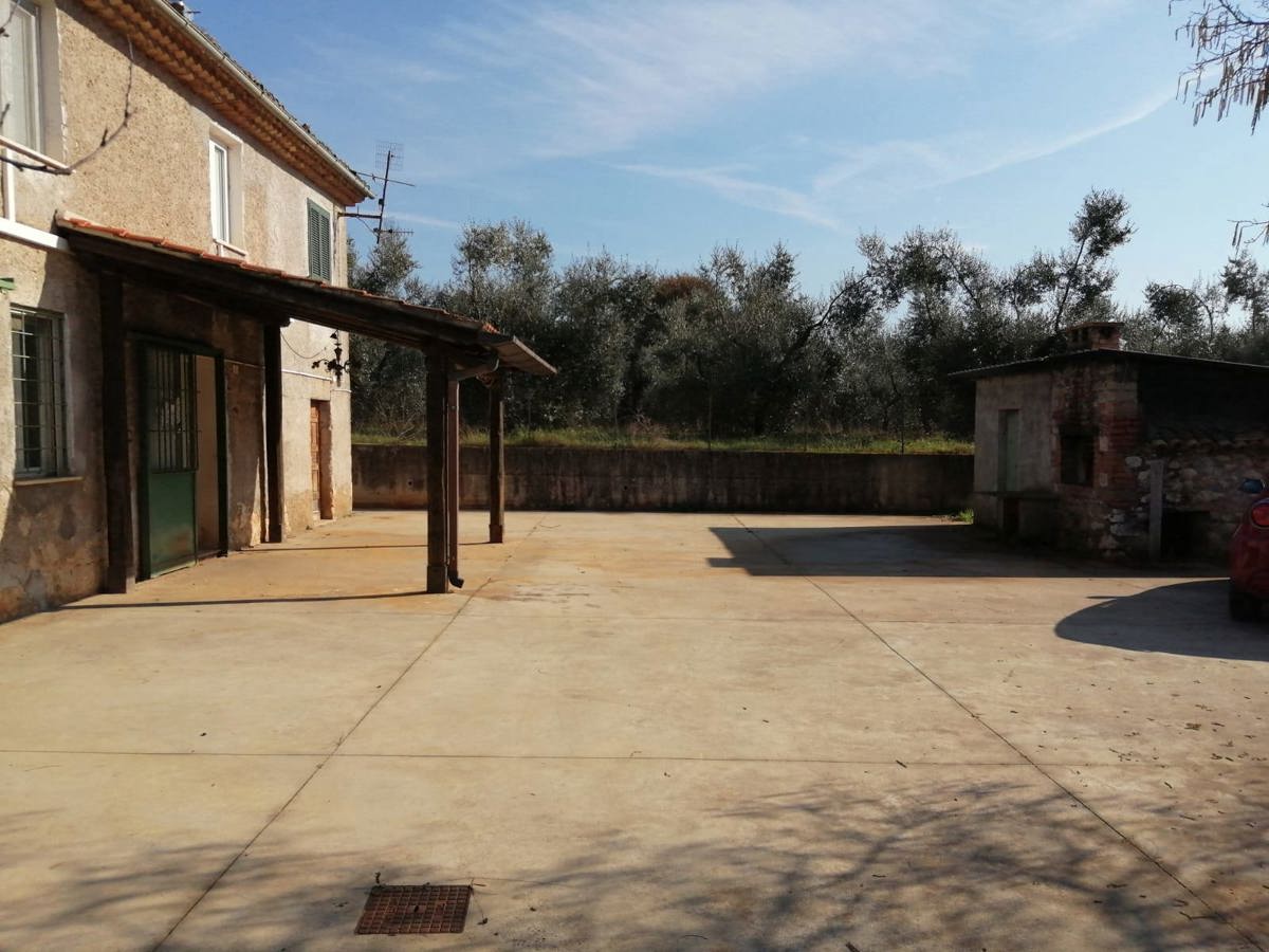 Foto annuncio 7