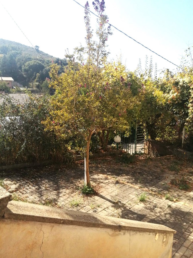 Foto annuncio 6