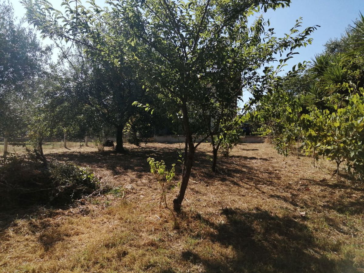 Foto annuncio 3