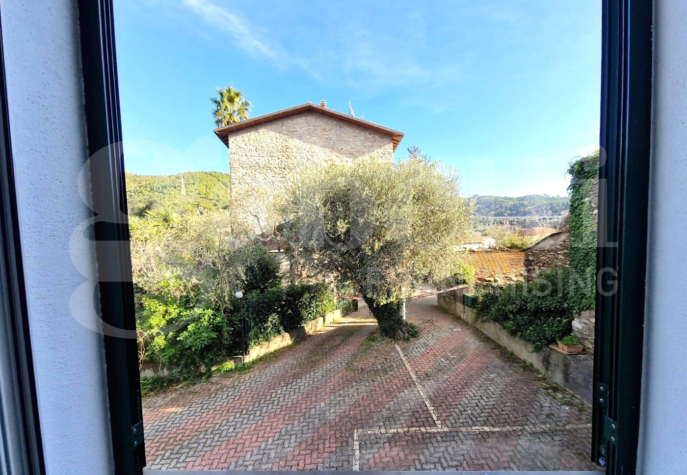 Foto annuncio 7