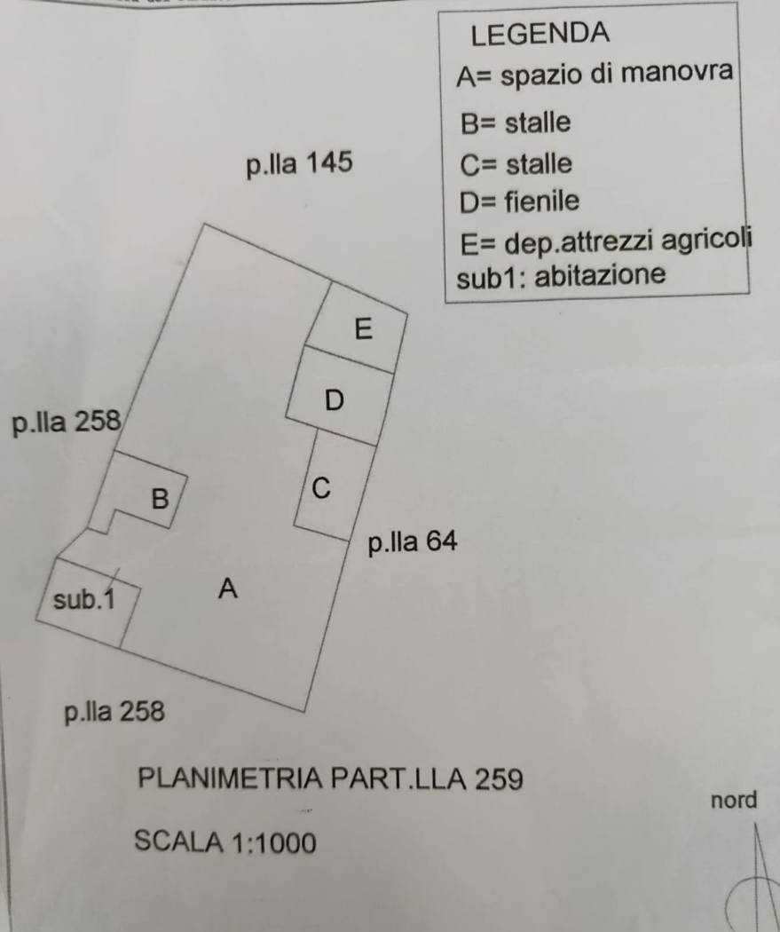 Foto annuncio 31
