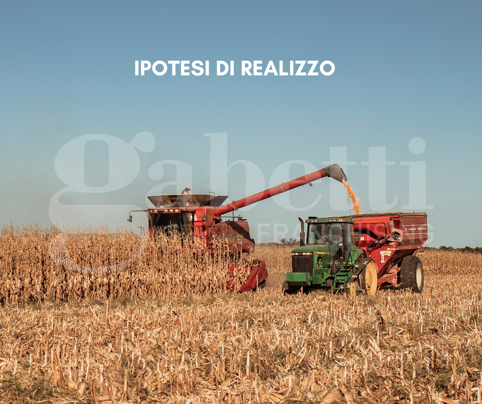 Foto annuncio 5