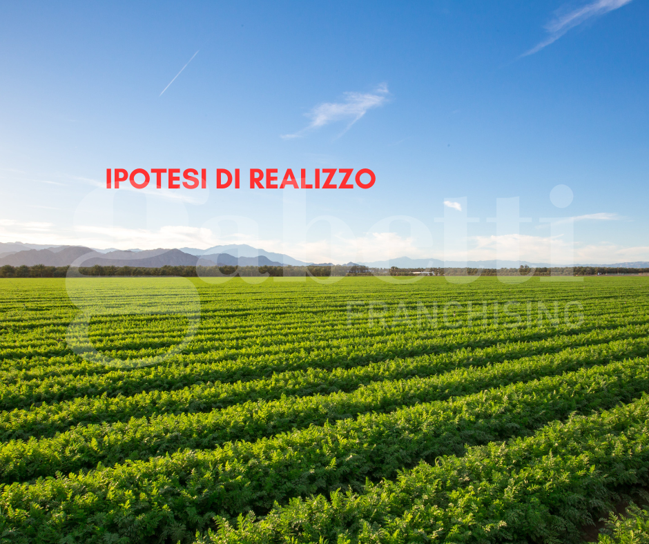 Foto annuncio 3