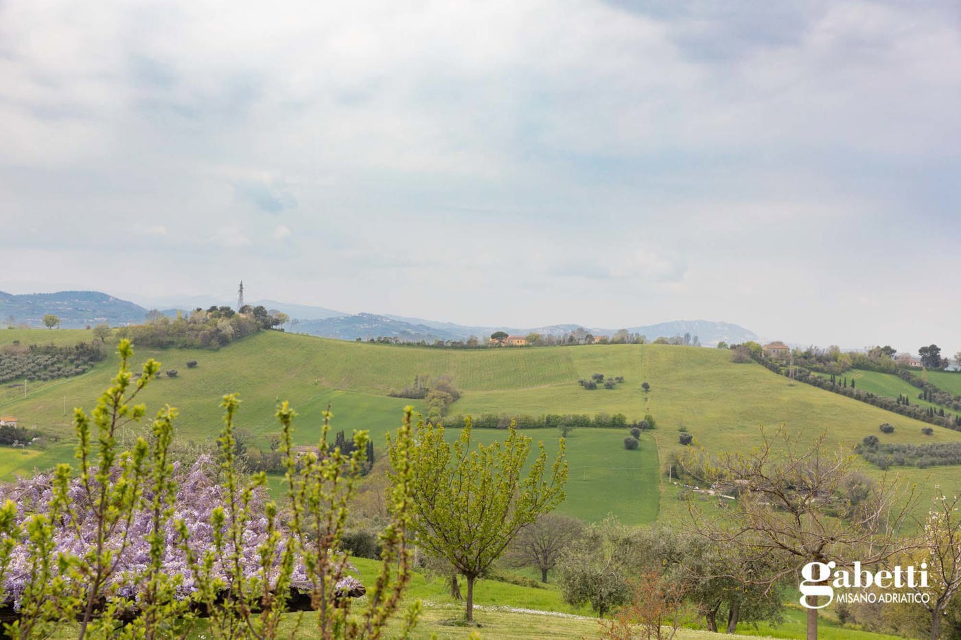 Foto annuncio 1