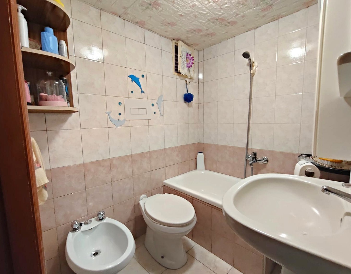 Immagine 11 di Casa indipendente in vendita  in Via CARBONARO a San Severo