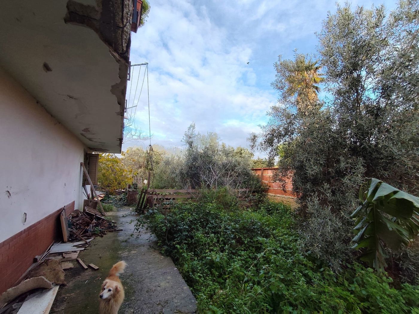 Foto annuncio 10