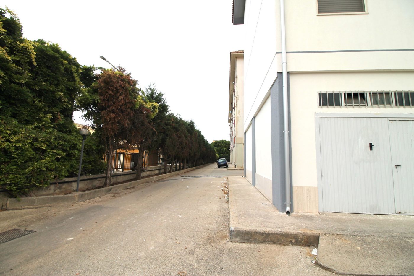 Foto annuncio 18