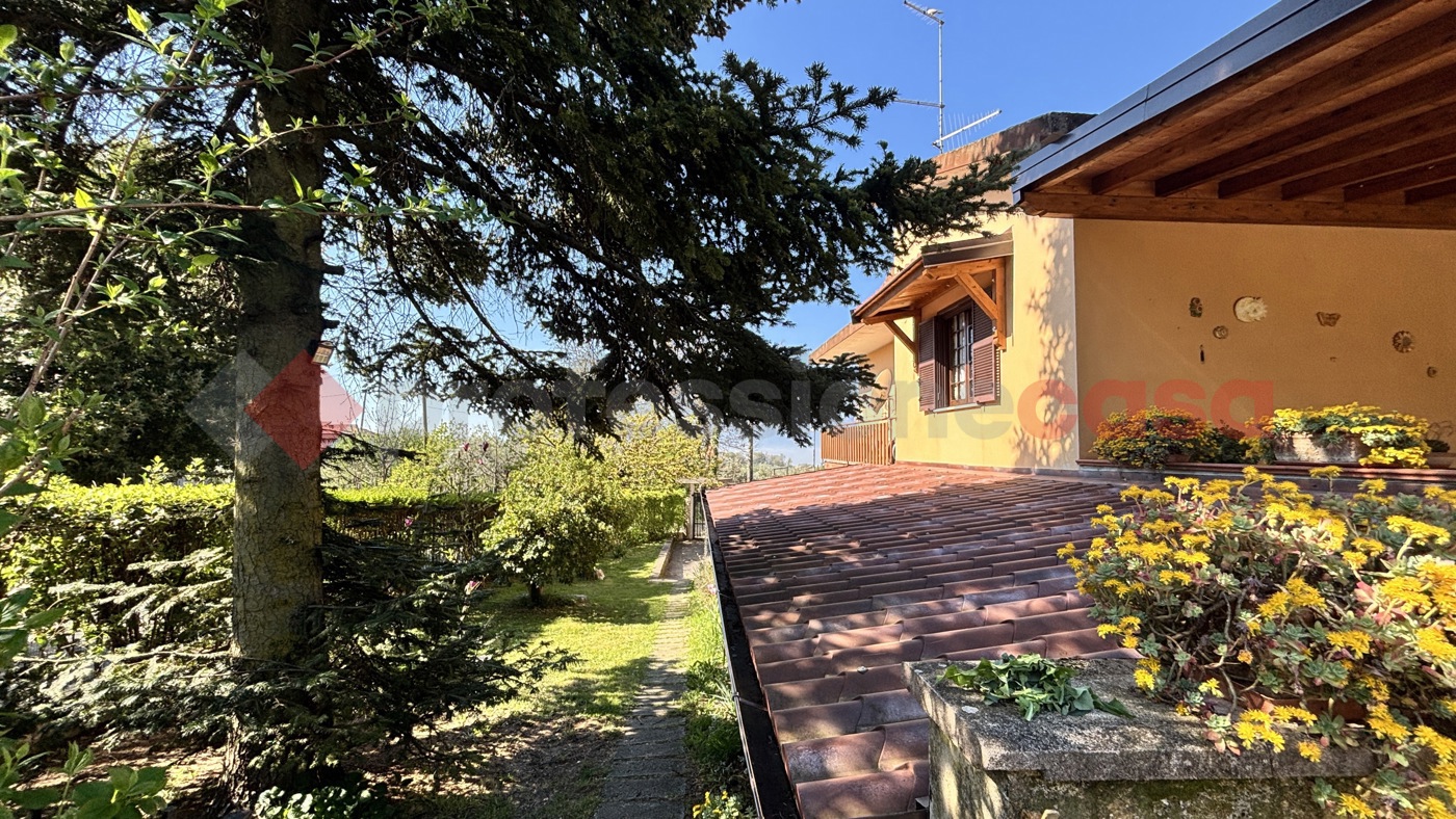 Foto annuncio 7